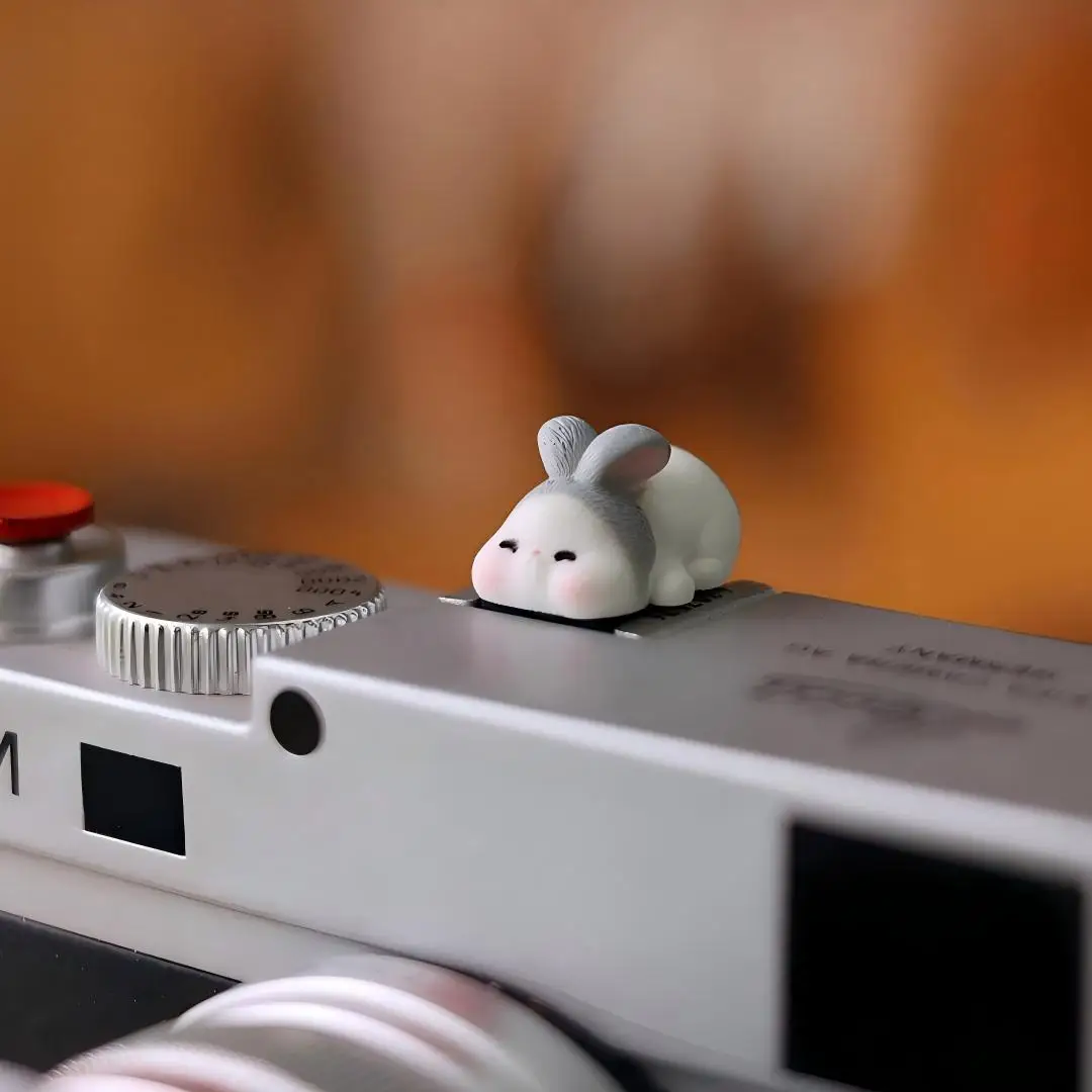 재미있는 디자인의 범용 카메라 핫슈 커버, 후지 XT5 - Sony Camera Zv-E10 리뷰 및 가격